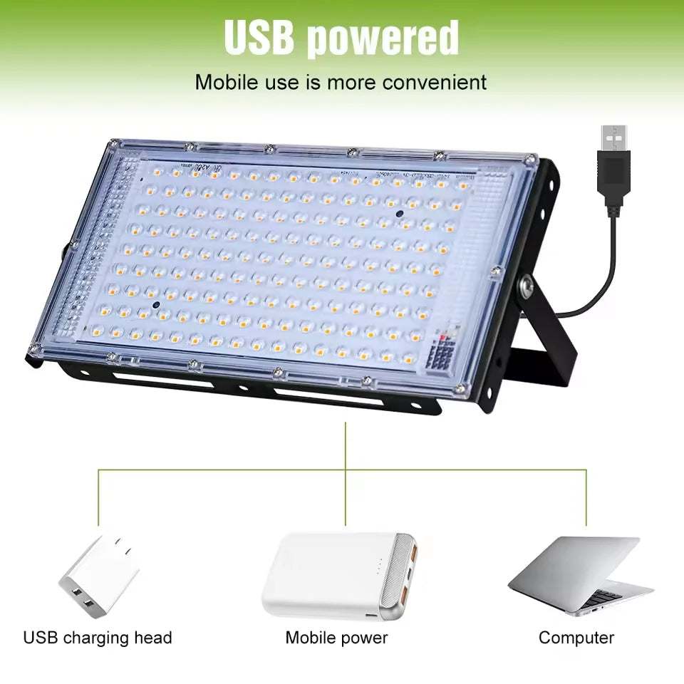 Red & Near-Infrared Light Therapy Lamp with Stand